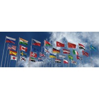 Ariel University International Affairs Office logo - Similar company to Roltime Ltd.