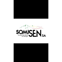 Société des mines du sénégal  L’officiel logo - Similar company to Mineex