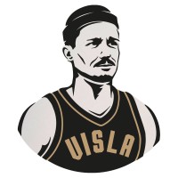 Visla Graphic