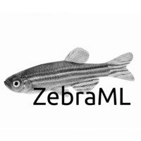 ZebraML logo - Similar company to Aimble