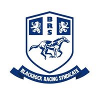 Blackrock Racing Syndicate logo - Similar company to Dublin Community Support