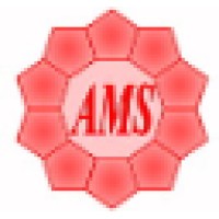Ams - Advanced Measurement Systems Ltd.