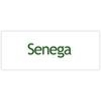 Senega Systems logo - Similar company to Mmp Software