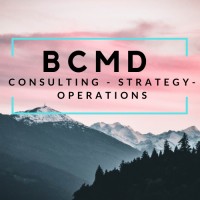 Bcmd Consulting