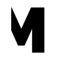 Mast logo - Similar company to Finconnect Bv