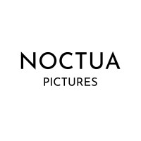 Noctua Pictures logo - Similar company to Creates Ugc