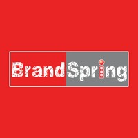 Brand Spring Integrated Solutions Pvt. Ltd. logo - Similar company to Value Construction Management