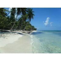 Cruise Planners - Kirk and Jennifer Kanter logo - Similar company to Cruise Planners