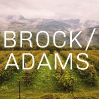 BROCK / ADAMS logo - Similar company to Mcclellan | Tellone