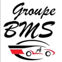 Groupe BMS logo - Similar company to Six Nineteen Of 1865