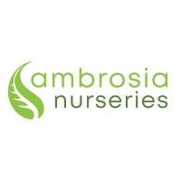 Ambrosia Nurseries Ltd logo - Similar company to Mayer Group