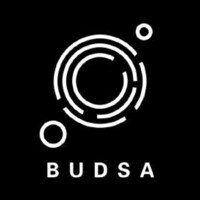 Boston University Data Science Association logo - Similar company to Boston University Data Analyst Network (Dan)