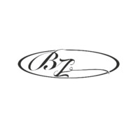 Babak Zanjani Group logo - Similar company to Nexu Ring