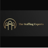 The Staffing Experts logo - Similar company to Mechspan