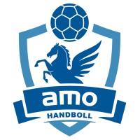 Amo Handboll logo - Similar company to Aau Efteruddannelse