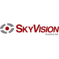 Skyvision Guinee logo - Similar company to Vds Technology