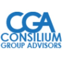 Consilium Group Advisors logo - Similar company to Infopesca