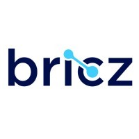 Bricz UK logo - Similar company to Bricz