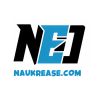 NaukrEase.Org logo - Similar company to Bada Business Pvt Ltd (Franchise)