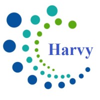 Harvy IT Services Pvt Ltd logo - Similar company to Lorhan It