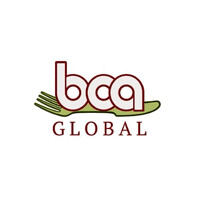 BCAGlobal logo - Similar company to Bca Global