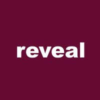 Reveal logo - Similar company to Two Neurons Studio