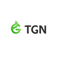 TGN MEXICO logo - Similar company to Gaseco