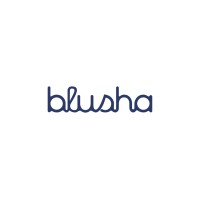 Blusha logo - Similar company to Studio Témé