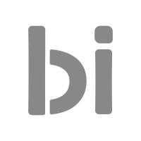 Business Innovation Consulting logo - Similar company to Cybersafepilot