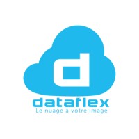Dataflex.pro logo - Similar company to Fiamane