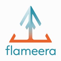 Flameera logo - Similar company to Stream By E Process Med