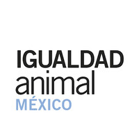 Igualdad Animal México logo - Similar company to Fundación Faada