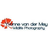 Yvonne van der Mey Wildlife Photography logo - Similar company to Van Der Mey Vers Vlees & Bacon Export