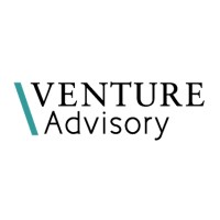 Venture Advisory logo - Similar company to Firehawk Analytics