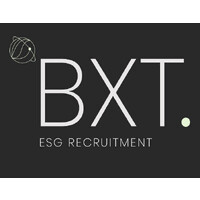 BXT Consulting logo - Similar company to Hypergryd Project Eu