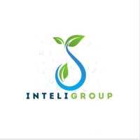 Inteli Group logo - Similar company to Intelibee Technologies
