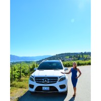 Lust 4 Luxury Wine Tours Inc. logo - Similar company to Gone West Wine