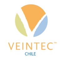 Veintec International logo - Similar company to Círculo Ten