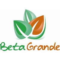 BetaGrande logo - Similar company to Chapter One Events Sl