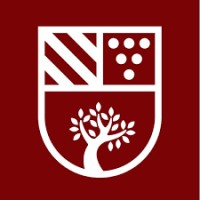 IDE Madrid logo - Similar company to Ide Cdmx