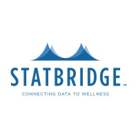 StatBridge logo - Similar company to Statbridge Analytics