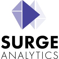 Surge Analytics Inc. logo - Similar company to Mintyfusion Studios