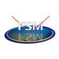 Frontier Semiconductor (FSM)