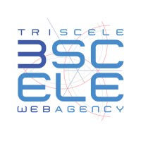 3scele logo - Similar company to That'S It