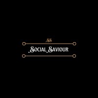 Digital Saviour Consultancy logo - Similar company to Digisaviour India Private Limited