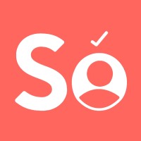 SolvoBI logo - Similar company to Dux Software