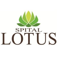 Spital LOTUS - servicii medicale private logo - Similar company to Neurohope
