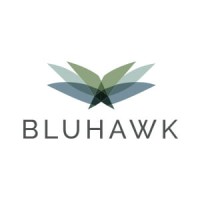 Bluhawk logo - Similar company to Lead One Llc