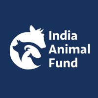 India Animal Fund logo - Similar company to Humane World For Animals India