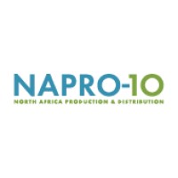 NAPRO10 logo - Similar company to The Innovation Guidebook